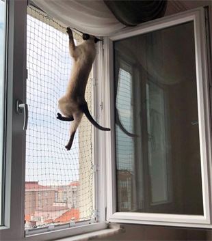 WINBLOCK PETS – Kediler için Pencere Güvenlik Ağı, Kedi Filesi Sistemi – 2 Lİ EKONOMİK KUTU