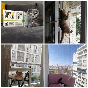 WINBLOCK PETS – Kediler için Pencere Güvenlik Ağı, Kedi Filesi Sistemi – FRANSIZ BALKON KAPISI