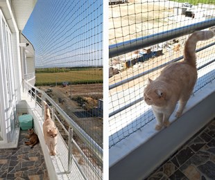 Winblock Pets Balkonlar için Kedi Güvenli Ağı 300cm x 400cm